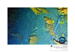 MEDIO-MARINO-Imagen-SST-Mediterraneo