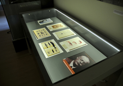 Inauguración Exposición Centenario del IEO de Santander.