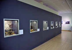 Inauguración Exposición Centenario del IEO de Santander.