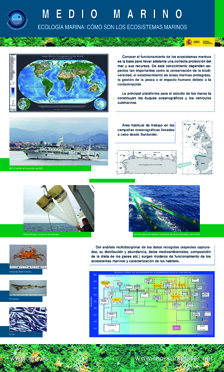 Medio Marino: Ecología Marina 1
