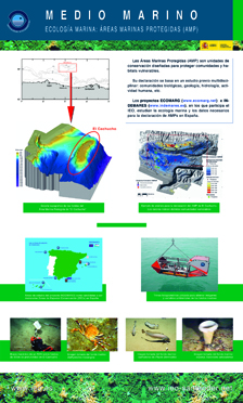 Medio Marino: Ecología Marina 2