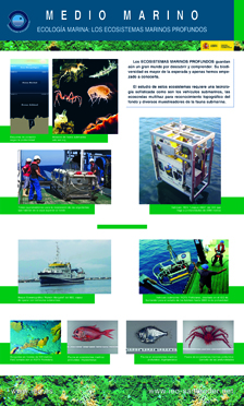 Medio Marino: Ecología Marina 3