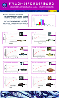 PESQUERIAS-Crecimiento-de-los-Peces-II