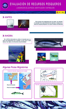 PESQUERIAS-MIGRACIONES