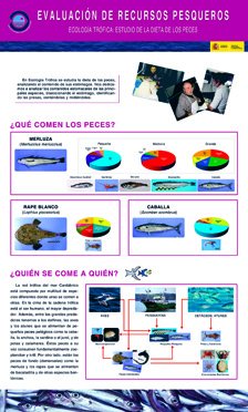 PESQUERIAS-La-dieta-de-los-peces