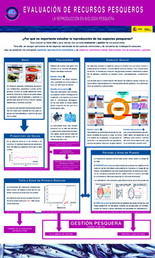 PESQUERIAS-La-reproduccion-en-biologia-pesquera