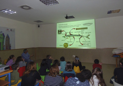 Taller Determinación de la edad de los peces.