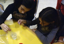 Taller CONOCE LA ACUICULTURA CON EL IEO.
