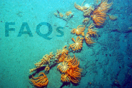 Vista de diseño responsivo con imagen local