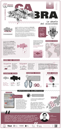 Poster-Cabra-12meses-12peces-COST-IEO-CSIC-Proyecto_Mimar-2024