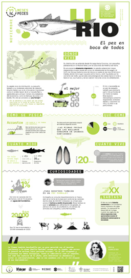 Poster-Lirio-12meses-12peces-COST-IEO-CSIC-Proyecto_Mimar-2024