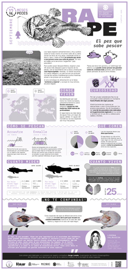 Poster-Rape-12meses-12peces-COST-IEO-CSIC-Proyecto_Mimar-2024