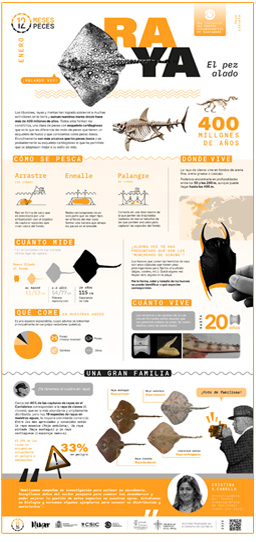 Poster-Raya-12meses-12peces-COST-IEO-CSIC-Proyecto_Mimar-2024