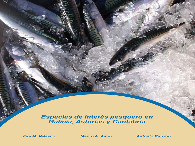 imagen 10 del carrusel