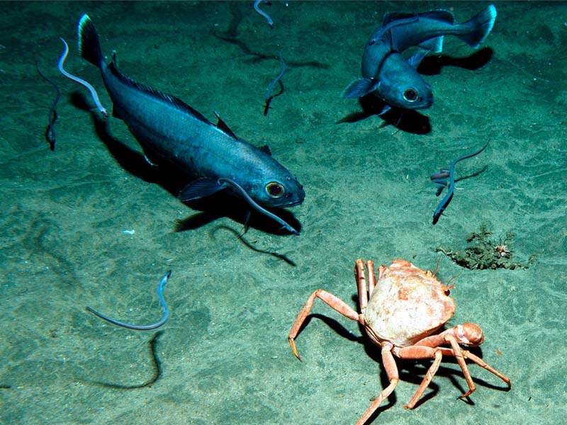 imagen 5 del carrusel