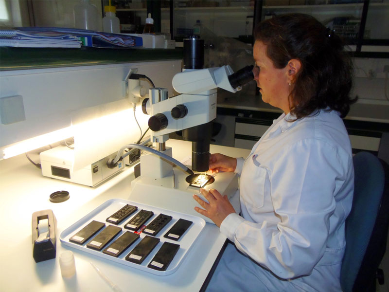 imagen 7 del carrusel