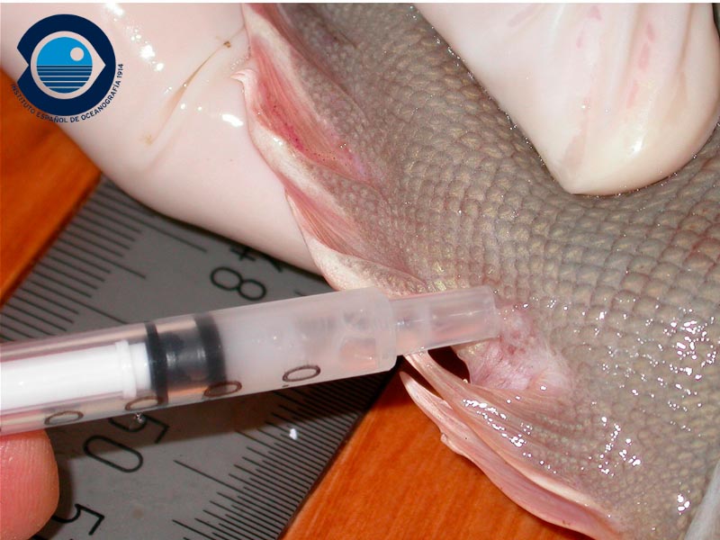 imagen 8 del carrusel