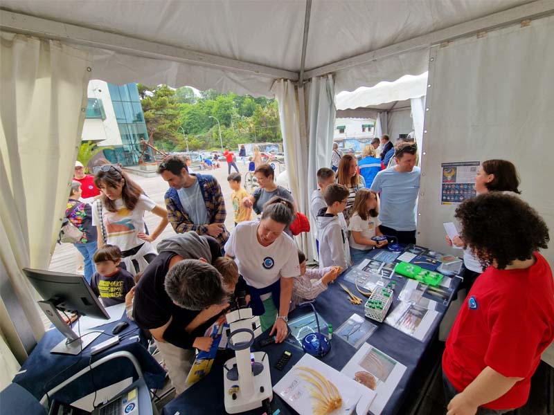 imagen 9 del carrusel